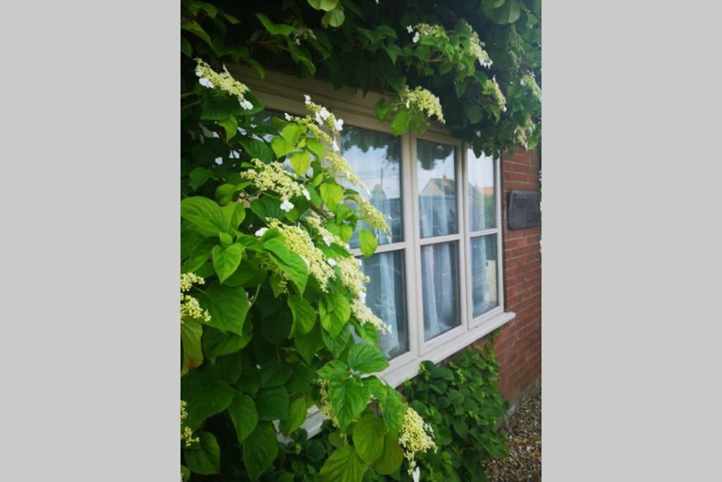 Blakeney Norfolk Bramble Lodge ***Self Catering*** Blakeney (Norfolk) Exterior foto